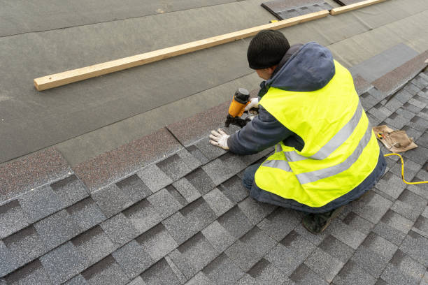 Best Roof Maintenance Services  in Bellevue, WA