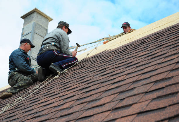Best Roof Restoration Services  in Bellevue, WA