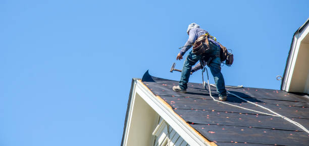 Best Roof Maintenance Services  in Bellevue, WA